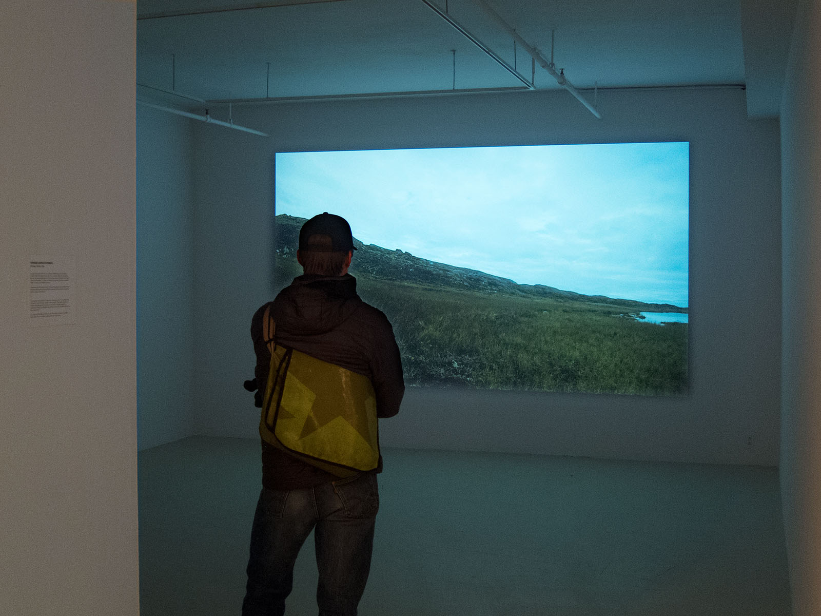 Forward Looking Statements<br>(Installation view)
