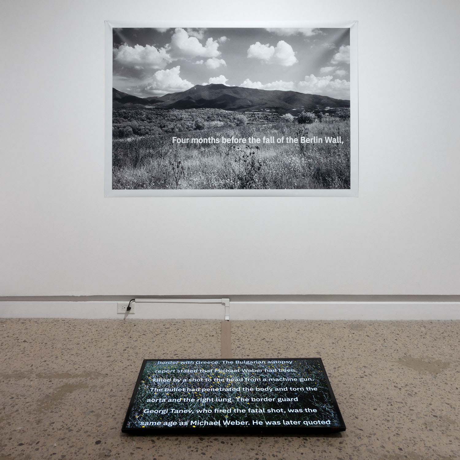 The Field<br>Inkjet print, video, 1:02 min
